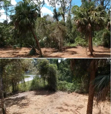 lot was cleared and canopied  2 years ago