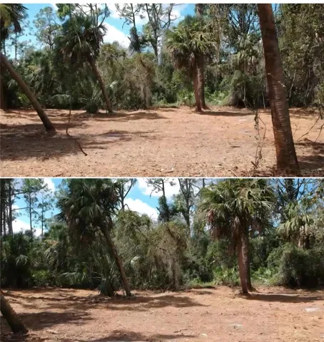 lot was cleared and canopied  2 years ago