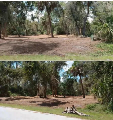 lot was cleared and canopied  2 years ago