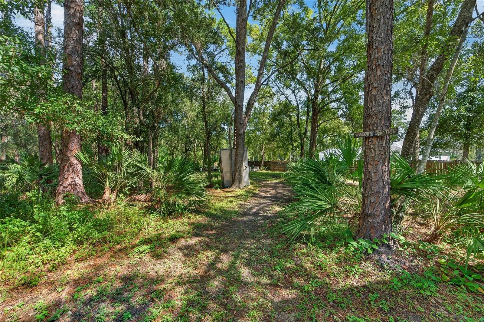 Lots of trails on the wooded lots