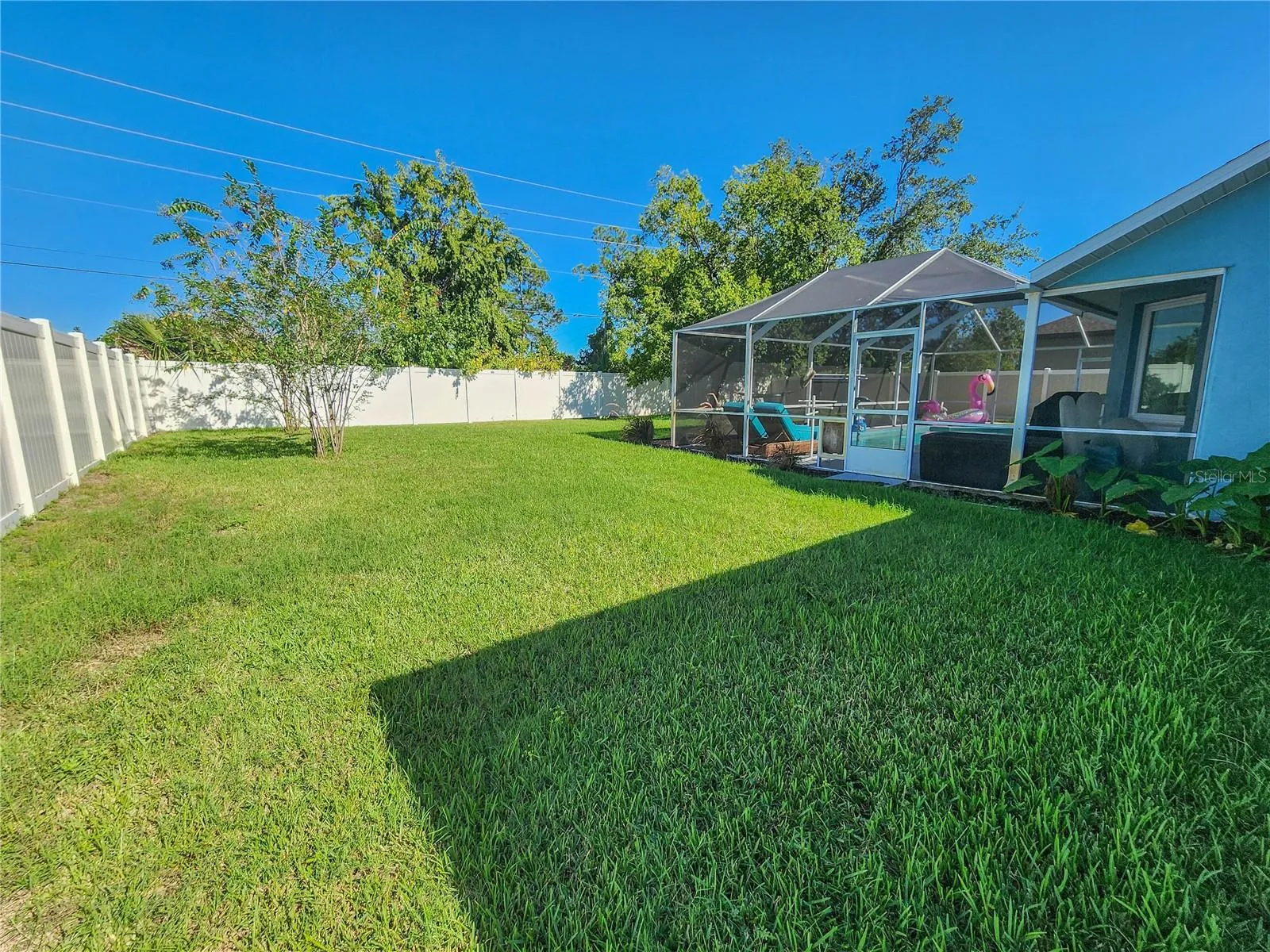 Back yard