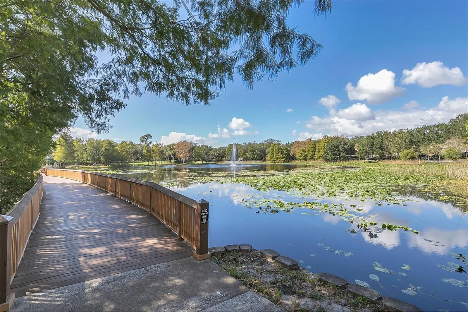 Lake Lily walking trail