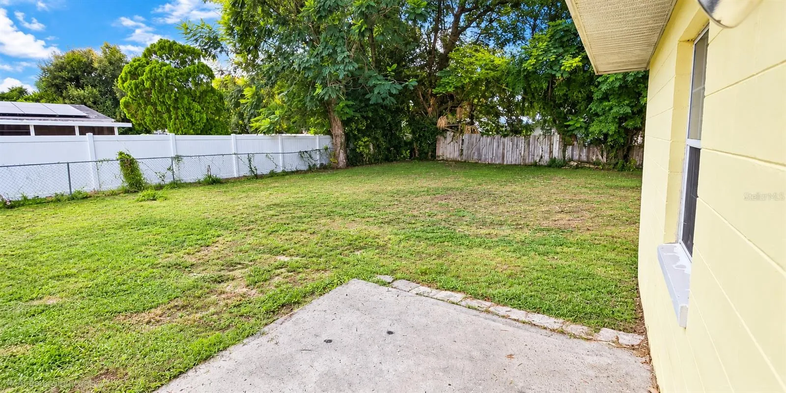 backyard