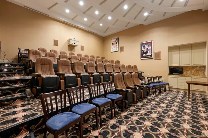 Theatre room