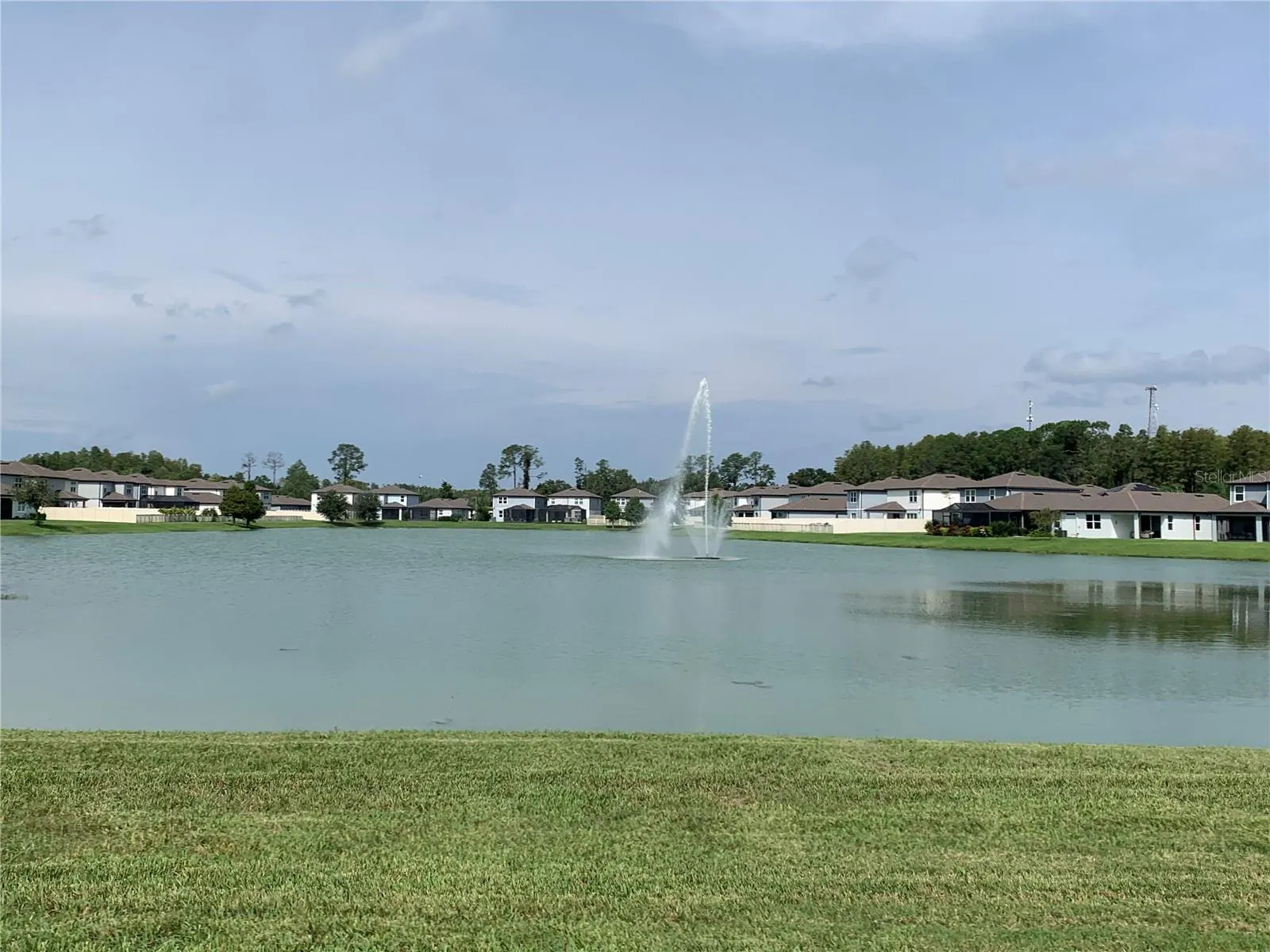 Pond