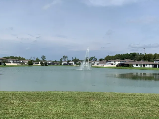 Pond