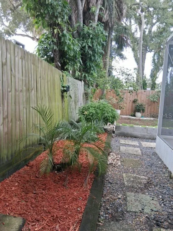 North side of backyard