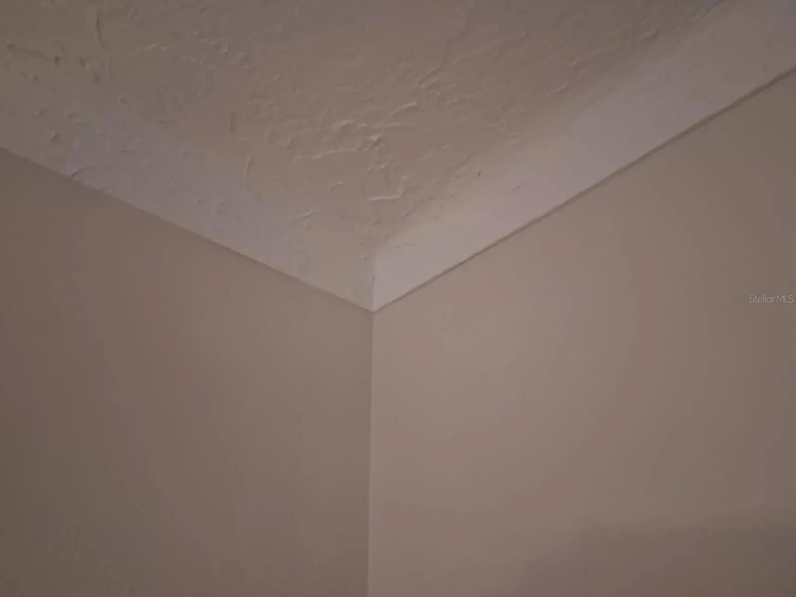 Example of coved ceilings; beautiful and cool-to-the-touch stucco details throughout