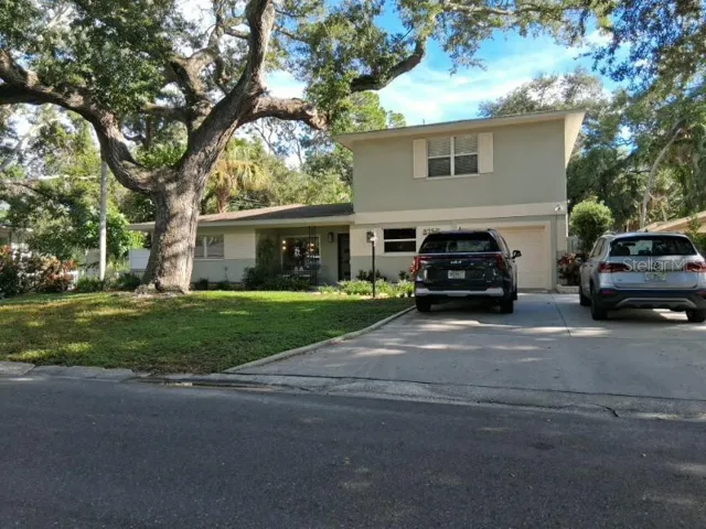 Recently and well-trimmed oak tree in front yard