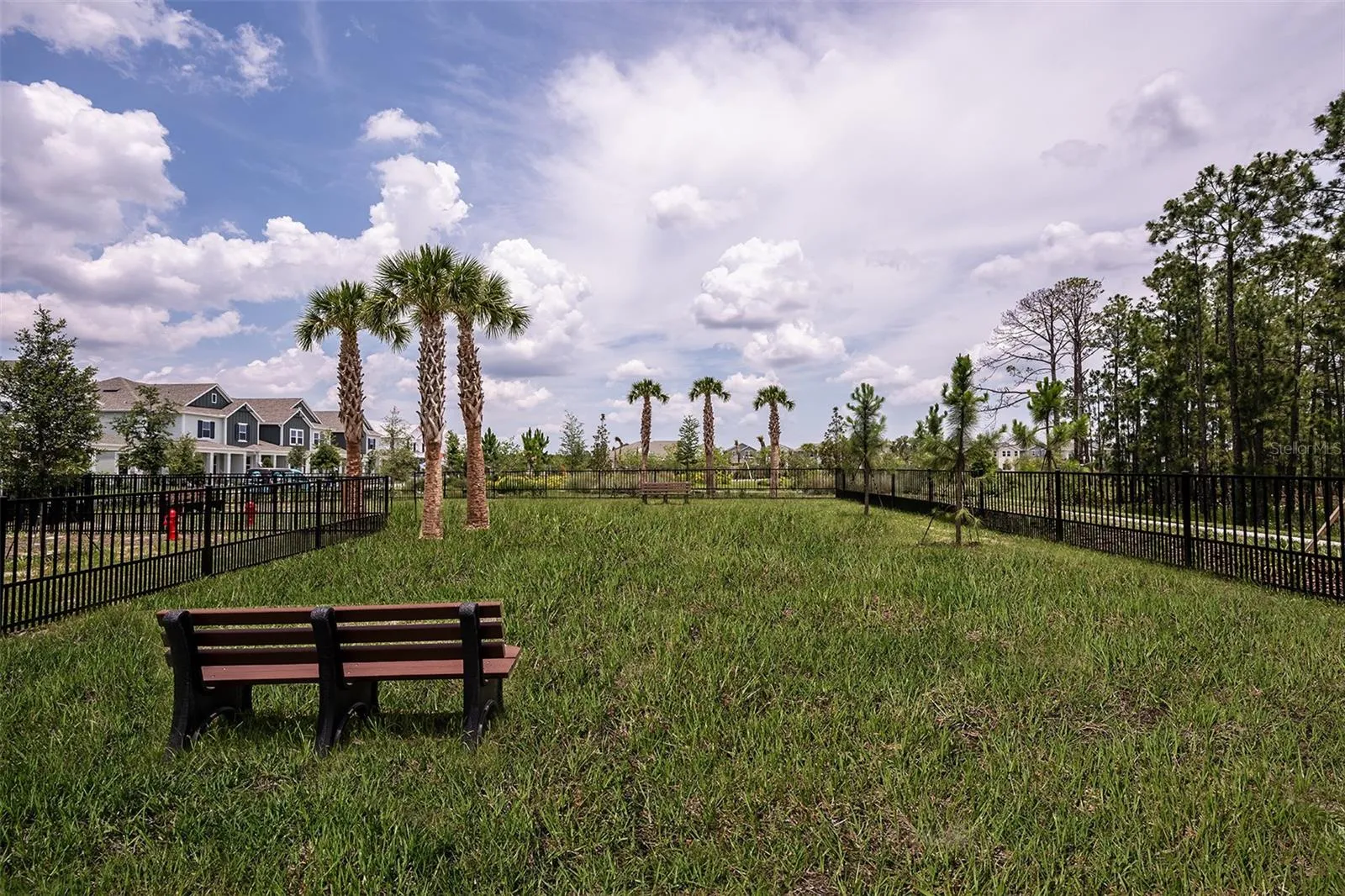 Harvest at Ovation Community