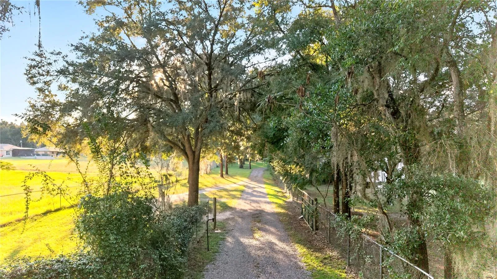Driveway to Property