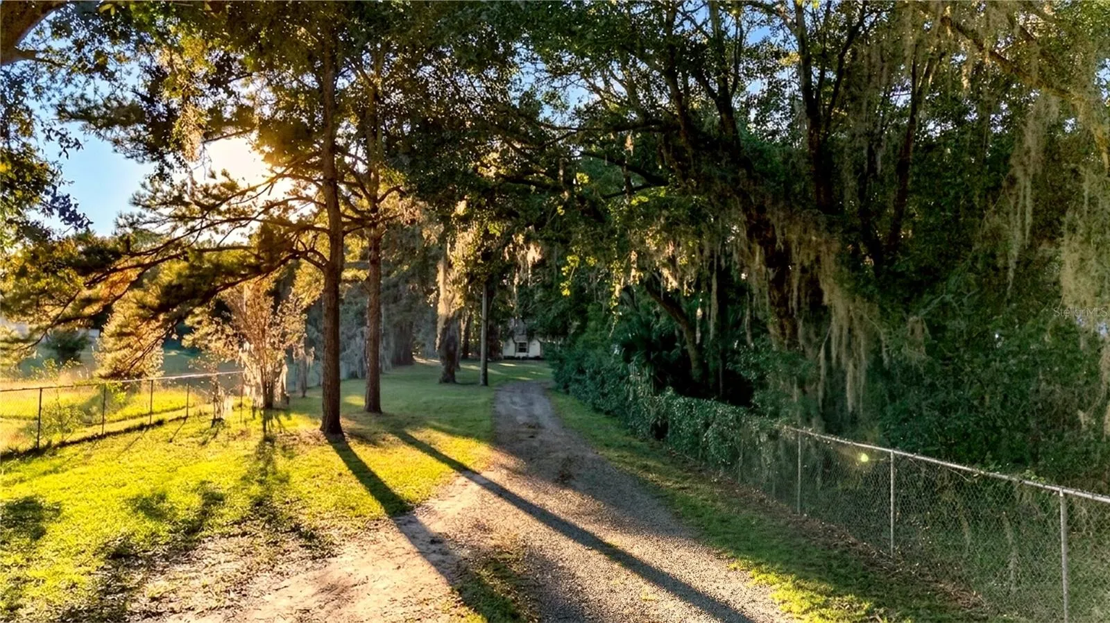 Driveway to Property
