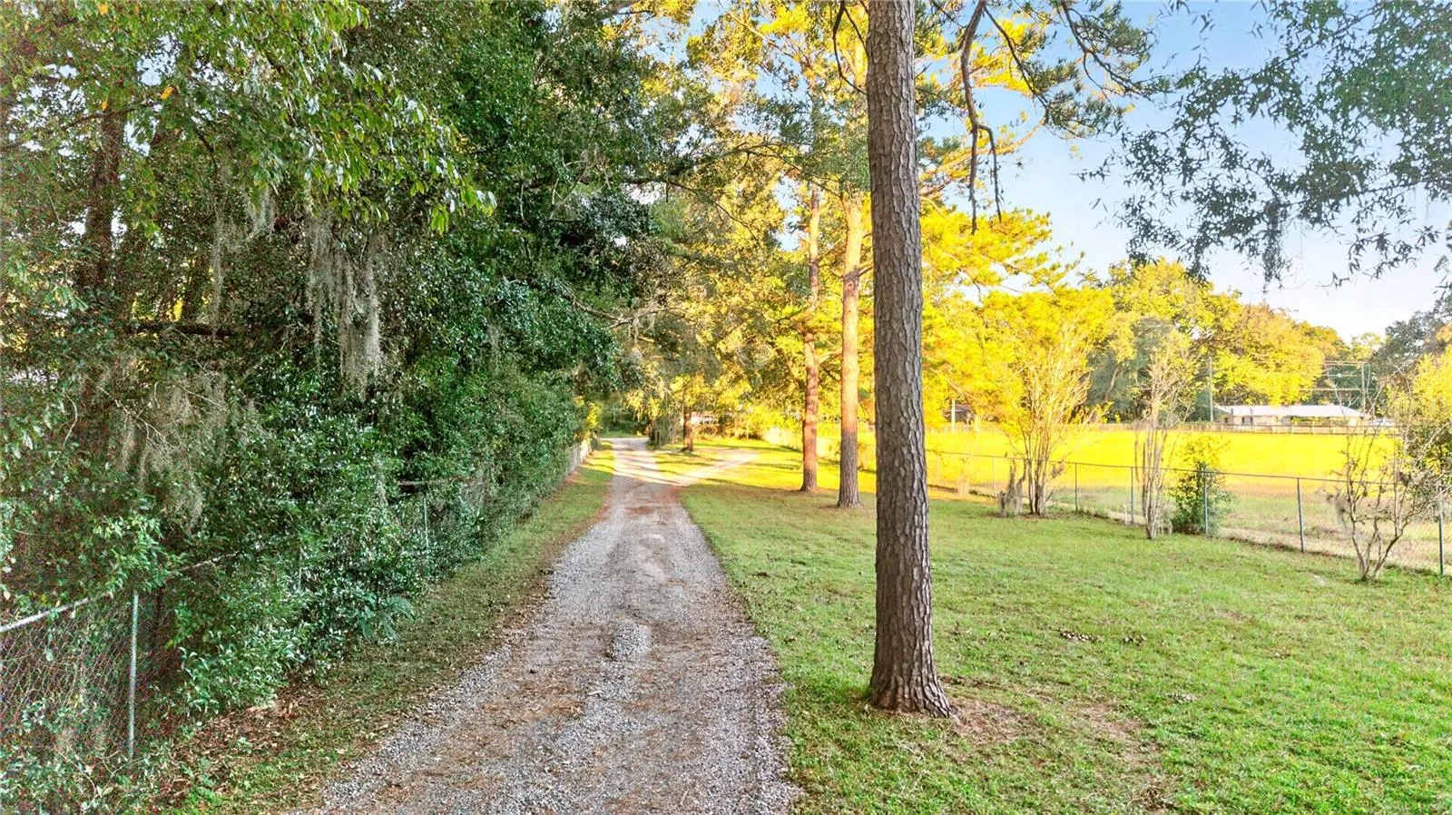 Driveway to Property