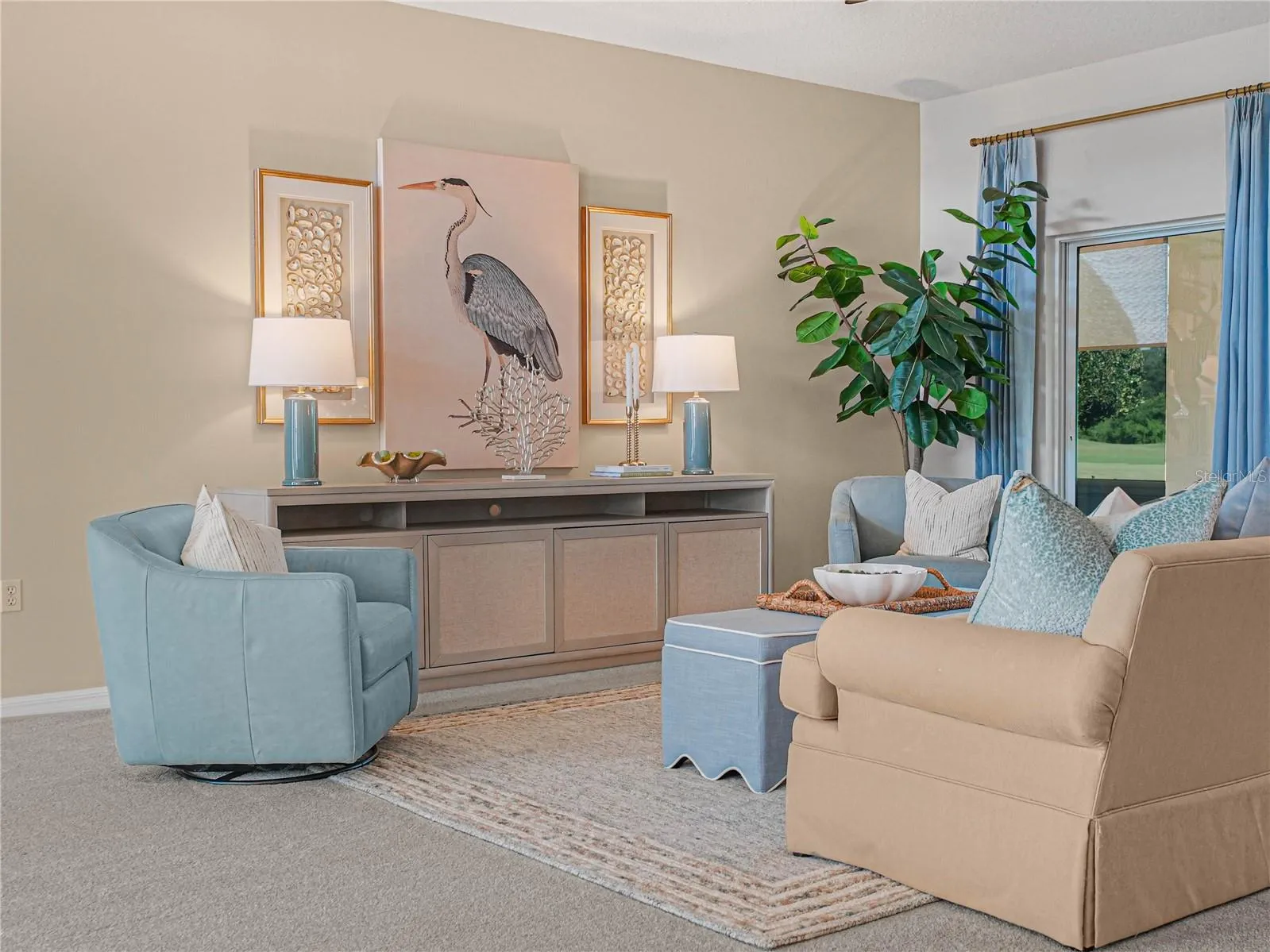 Living Room with Carpet