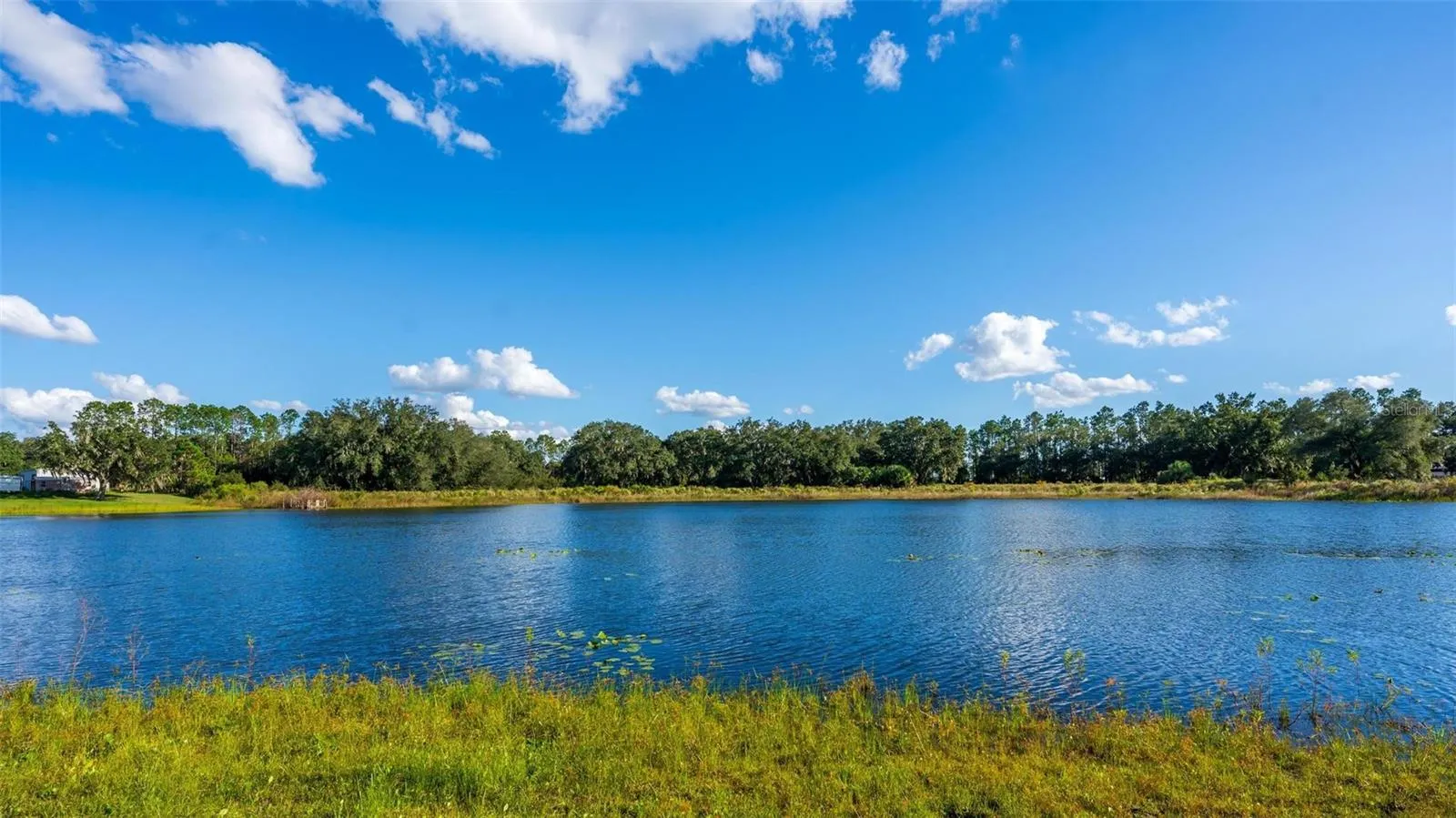 BEAUTIFUL LAKE WITH A SPRING.