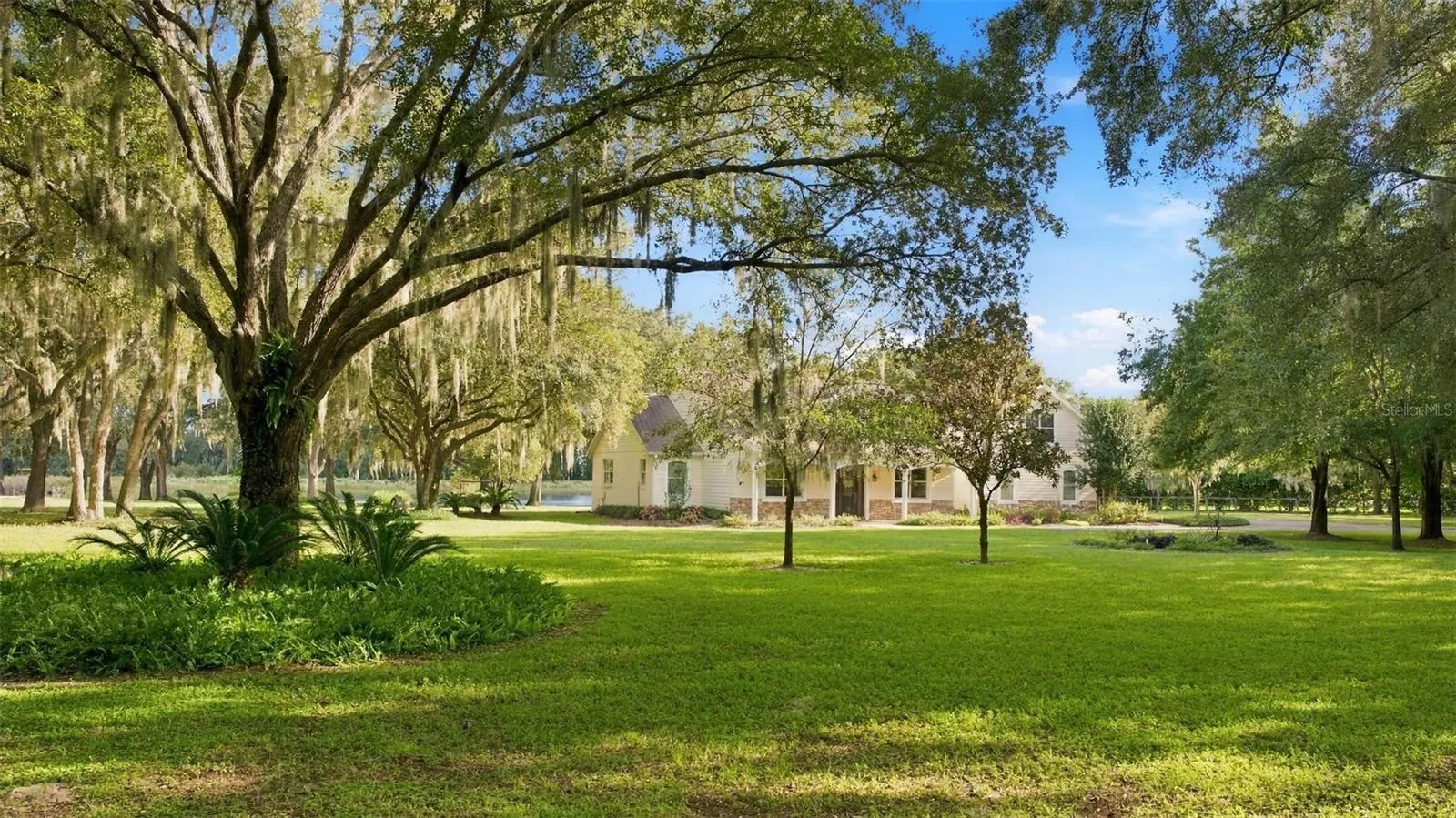 MORE TREES AND MATURE LANDSCAPING.