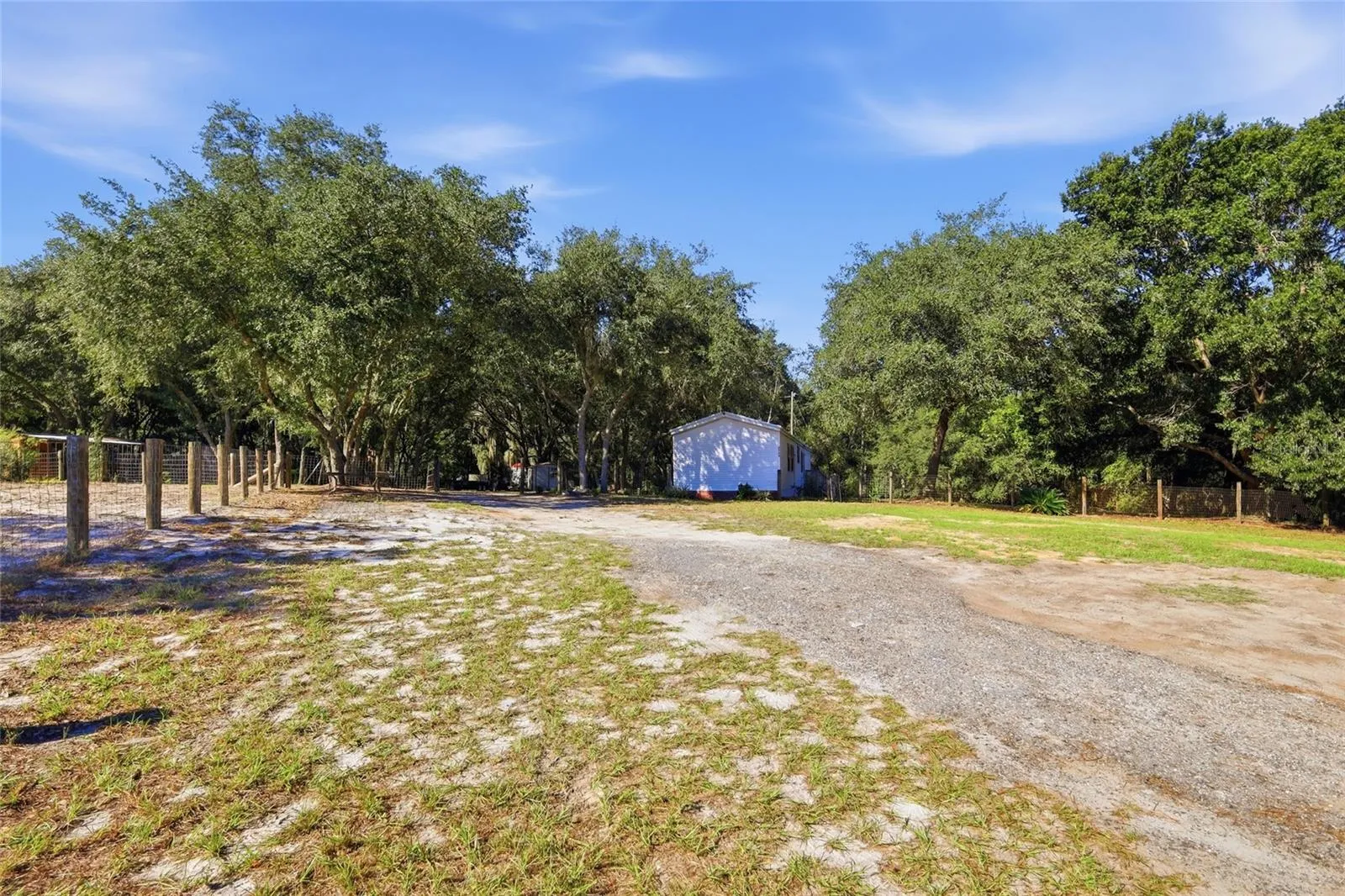 Driveway up to home