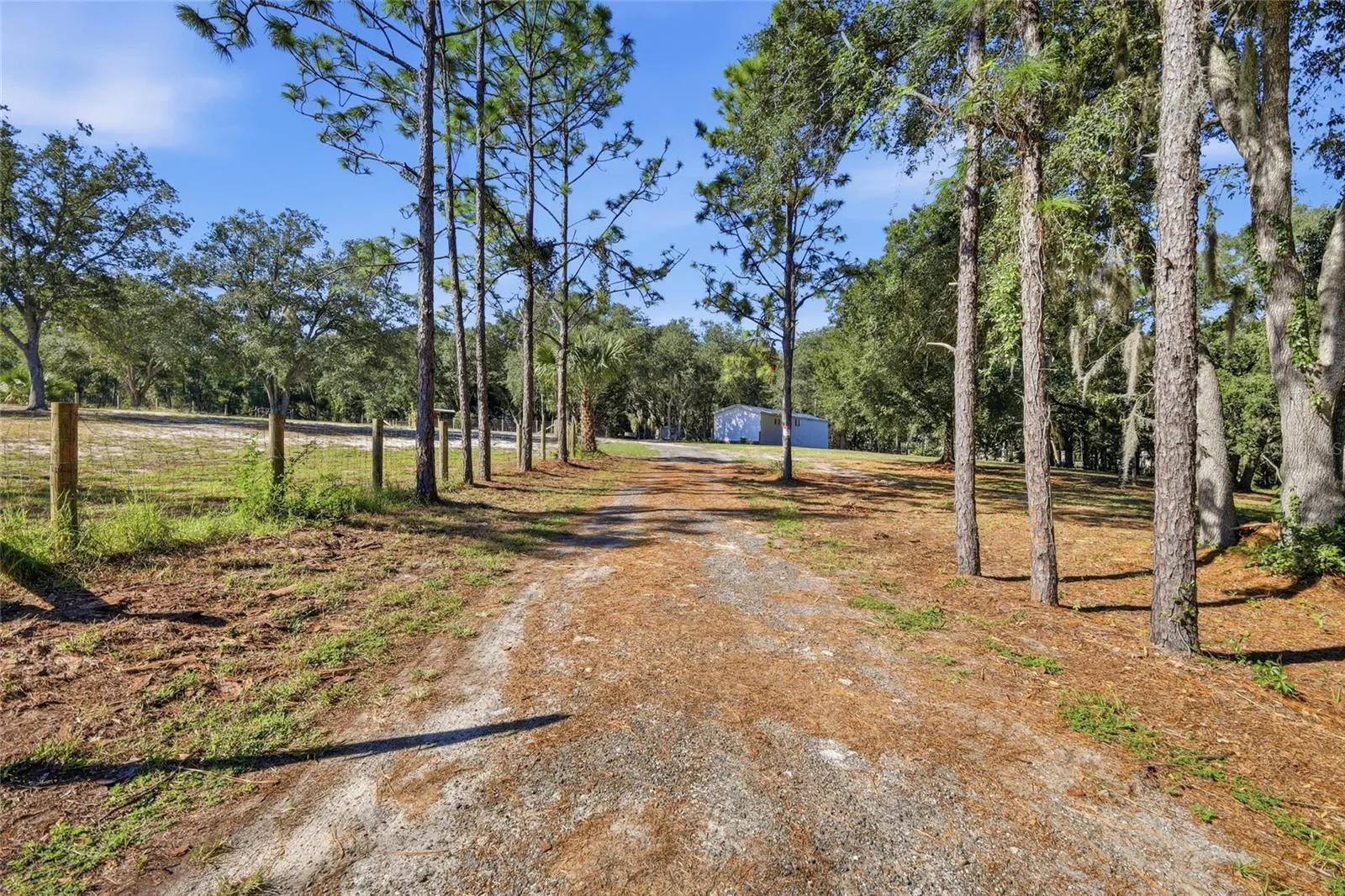 Driveway up to home & property
