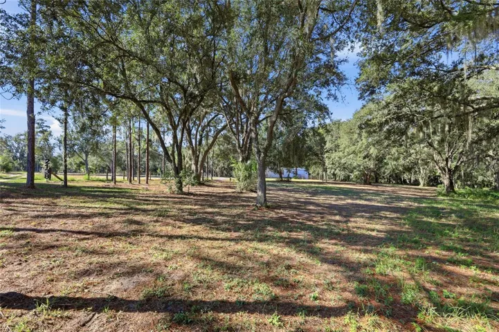 Front part of property