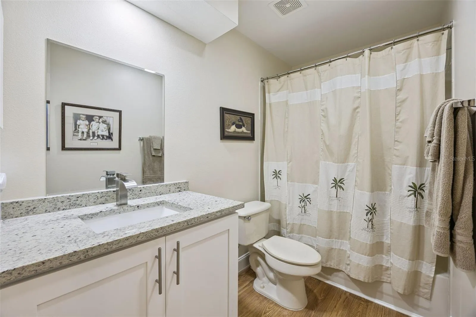 Guest Bathroom with new vanity