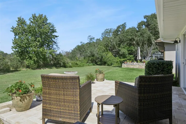 Views of the Florida greenspace