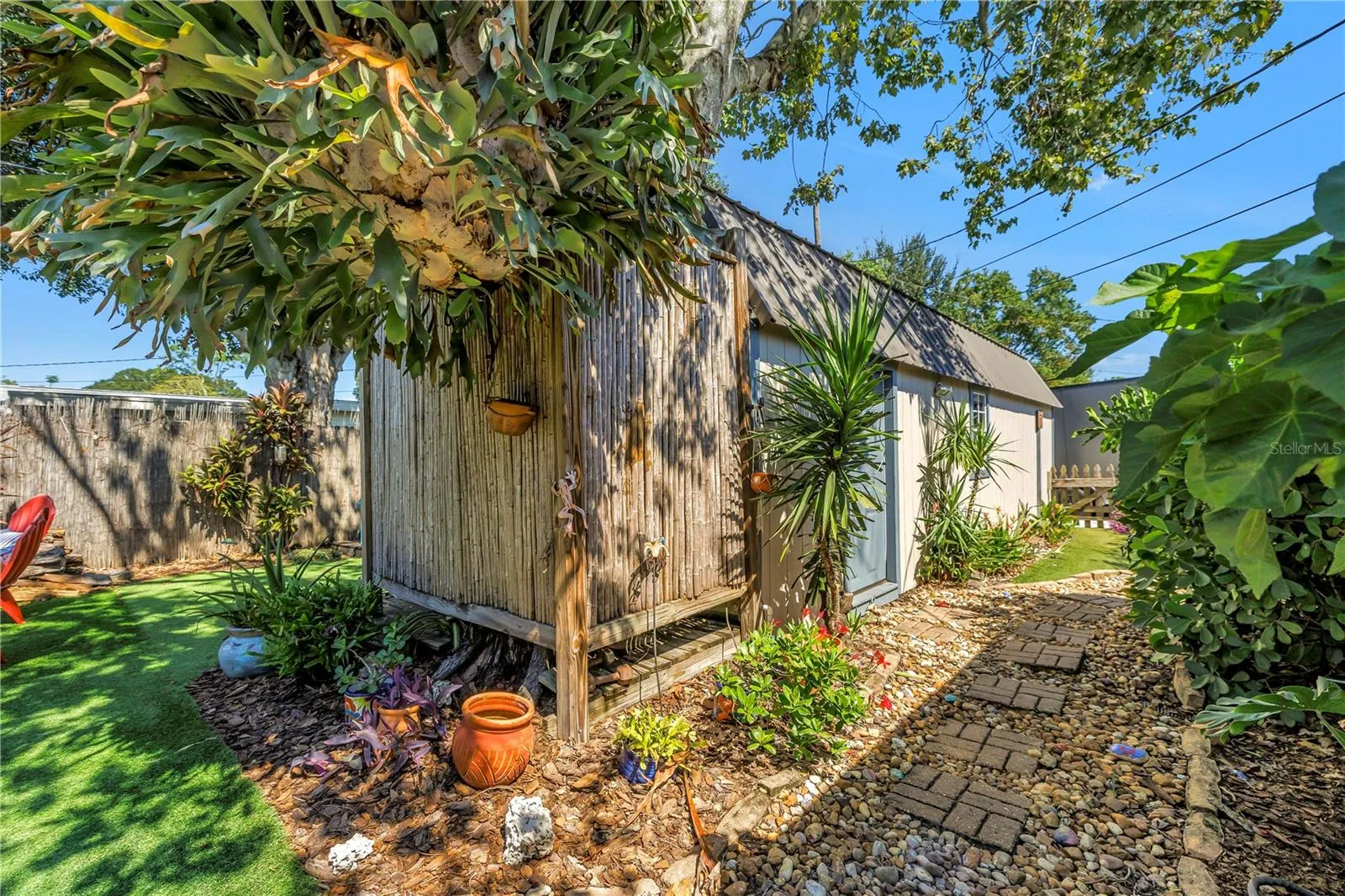 Should we talk about the outdoor shower or the massive staghorn? Both are rare delights.