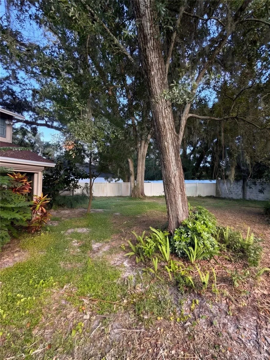 Back Yard Alt View