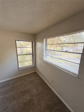 Guest Bedroom 3 Window View