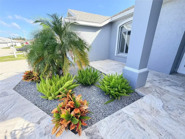 Front Patio / Landscape