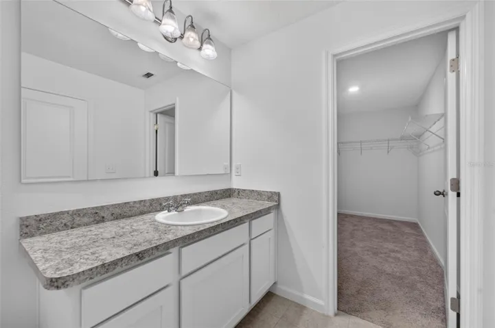 Master bathroom vanity