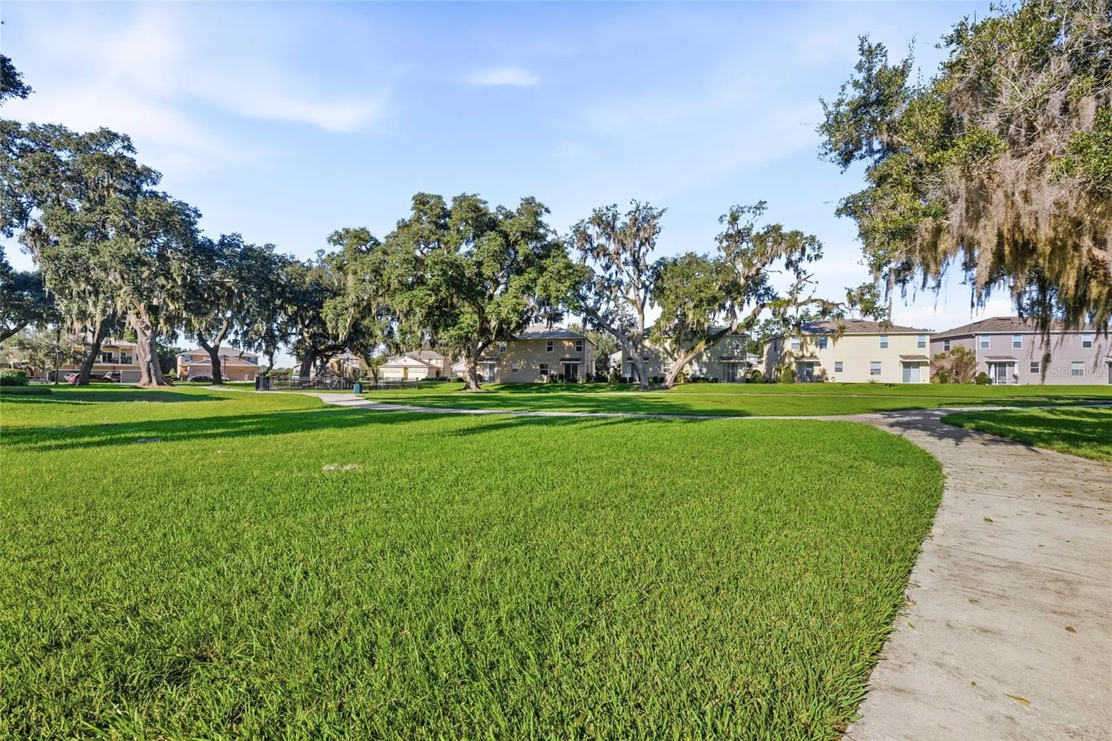 Dog walk park area