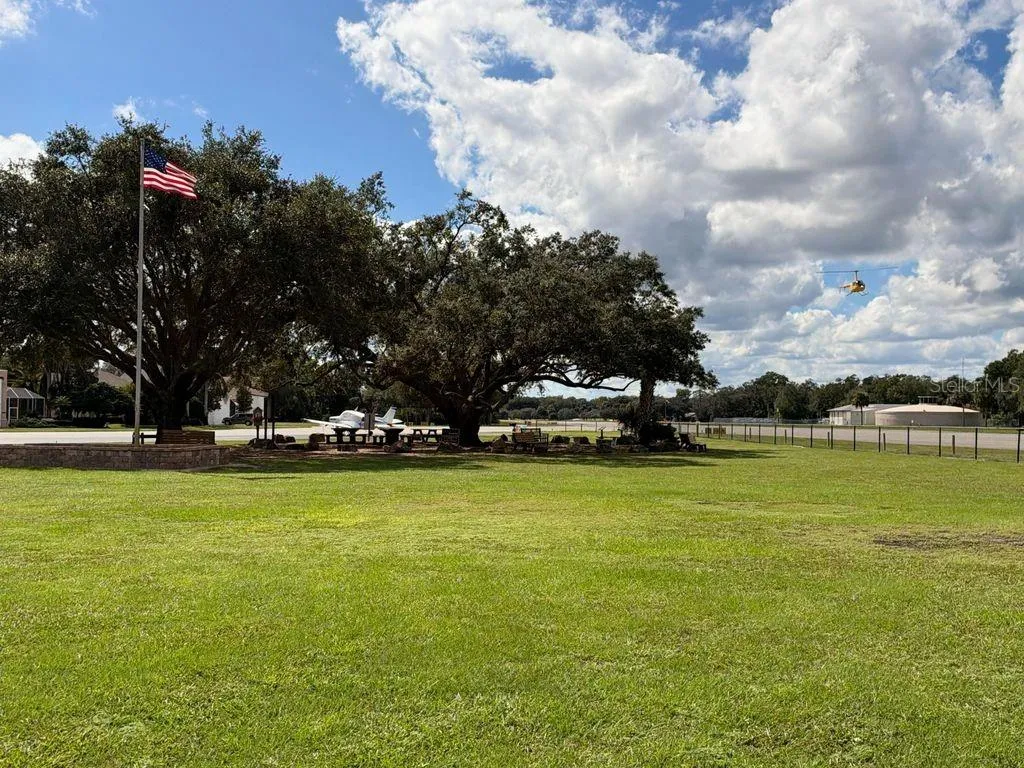 The Big Tree located just off Cessna Blvd is home to many gatherings, community events, and dog lovers.
