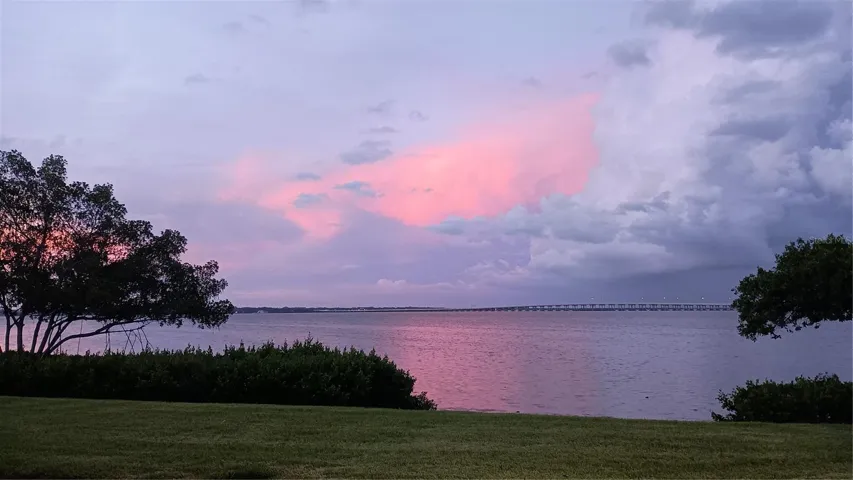 Back yard view