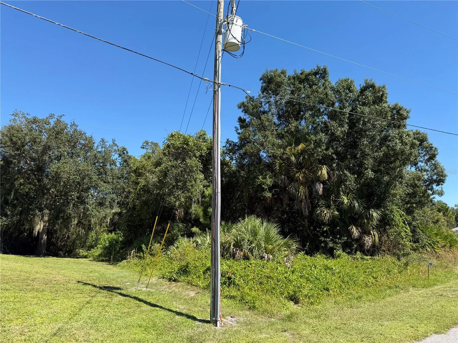South east corner of the lot