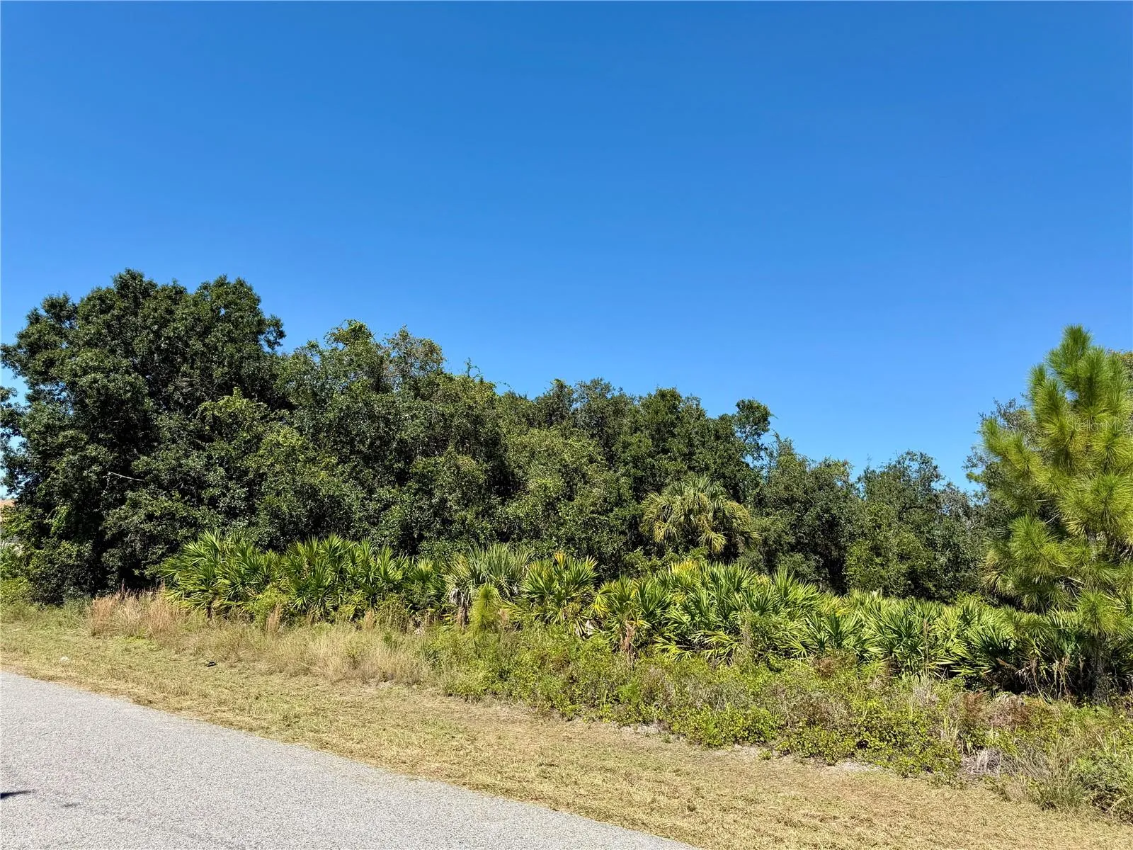 North east corner of the lot