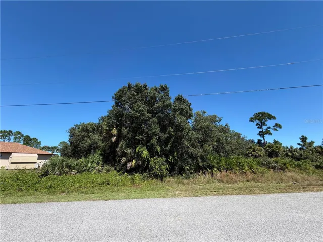 Front of the lot