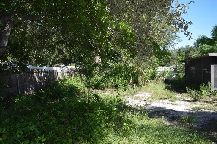 Back yard has much potential