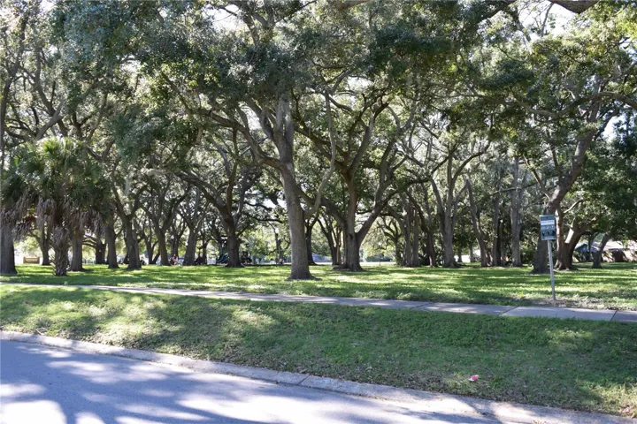 Plenty of room to enjoy nature at Amberlea Park