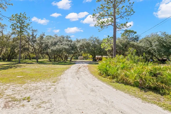 Driveway