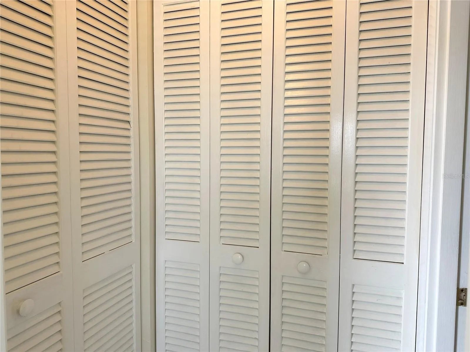 Ample closets in guest suite