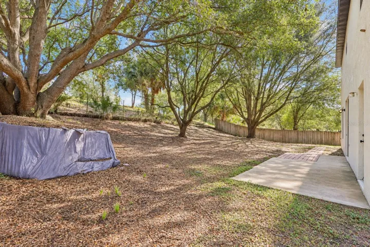 Backyard is large with no neighbor behind you.