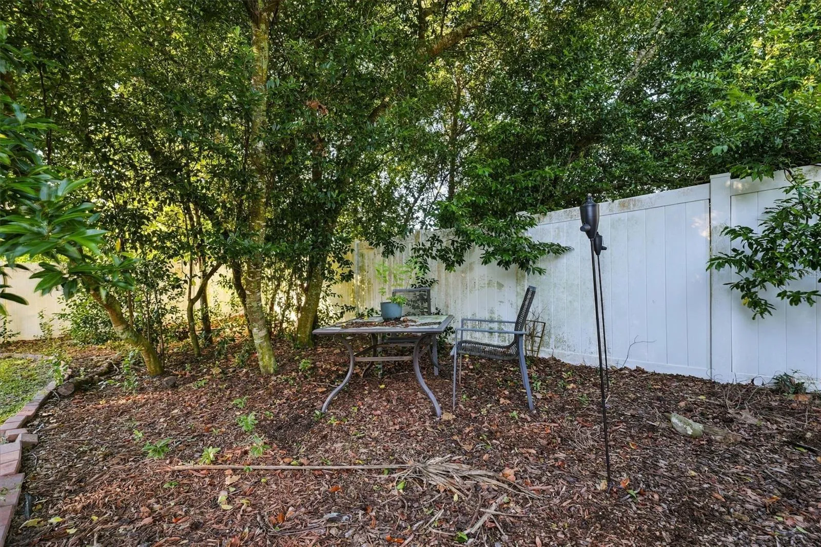 Rear Exterior