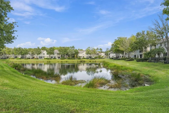 Rear Lawn View