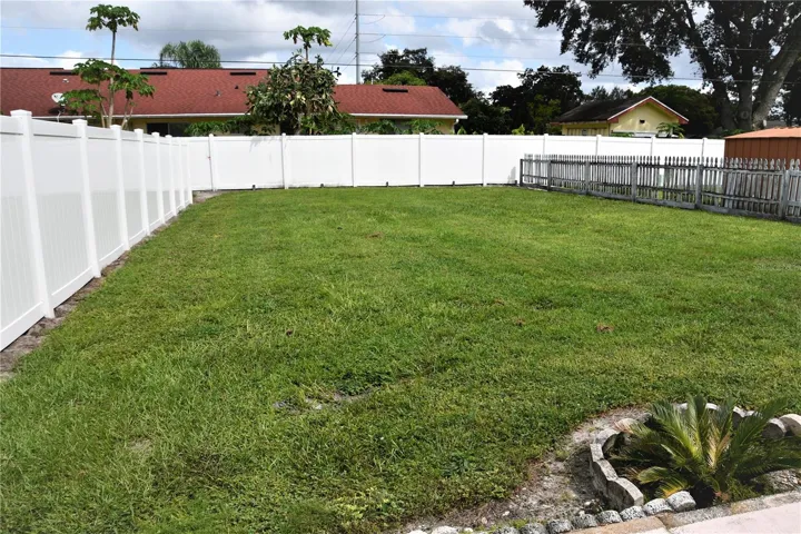 Back yard