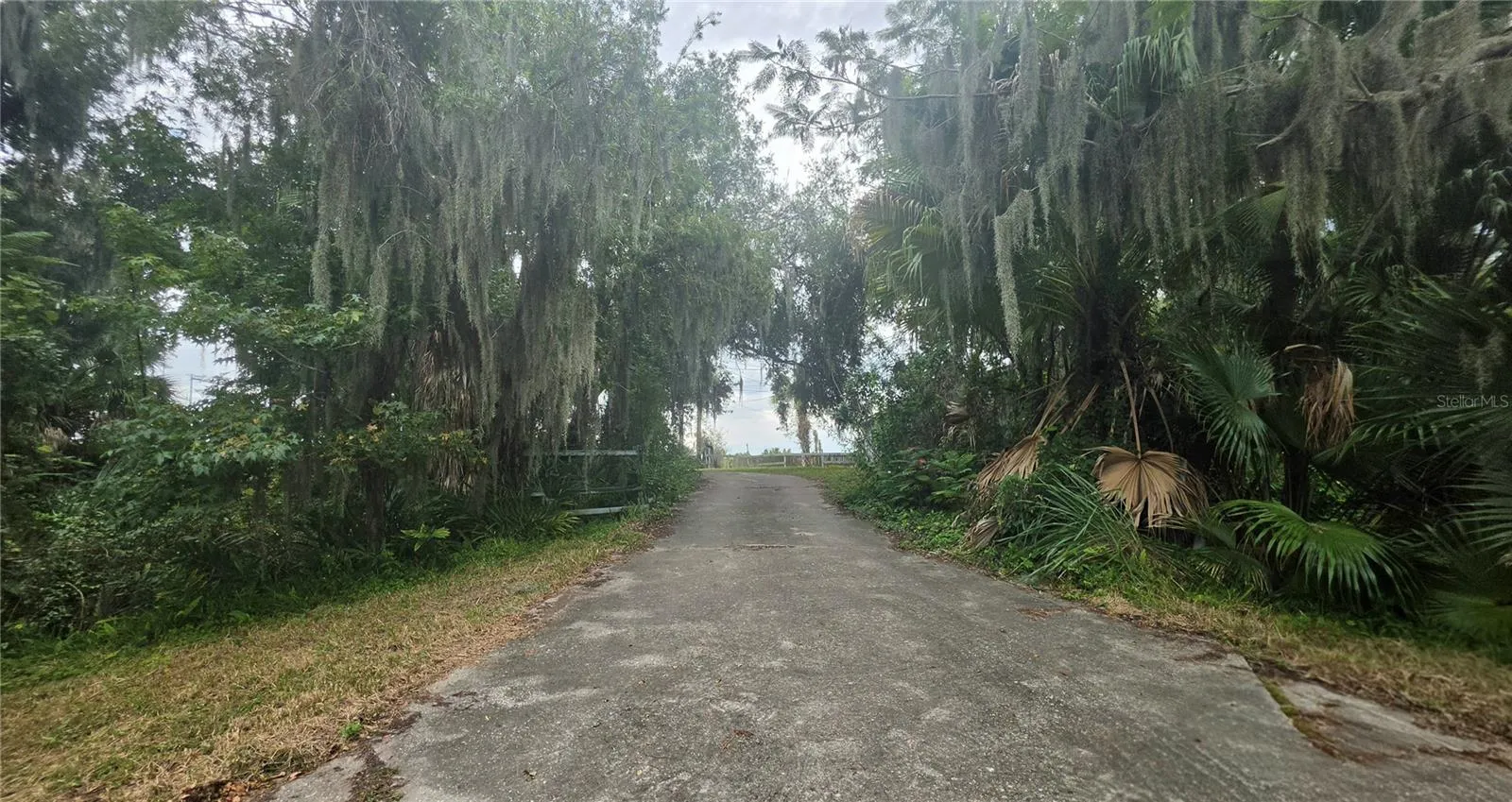 Road view