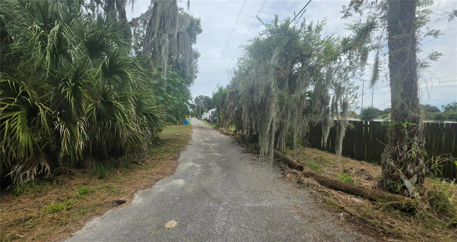 Road view