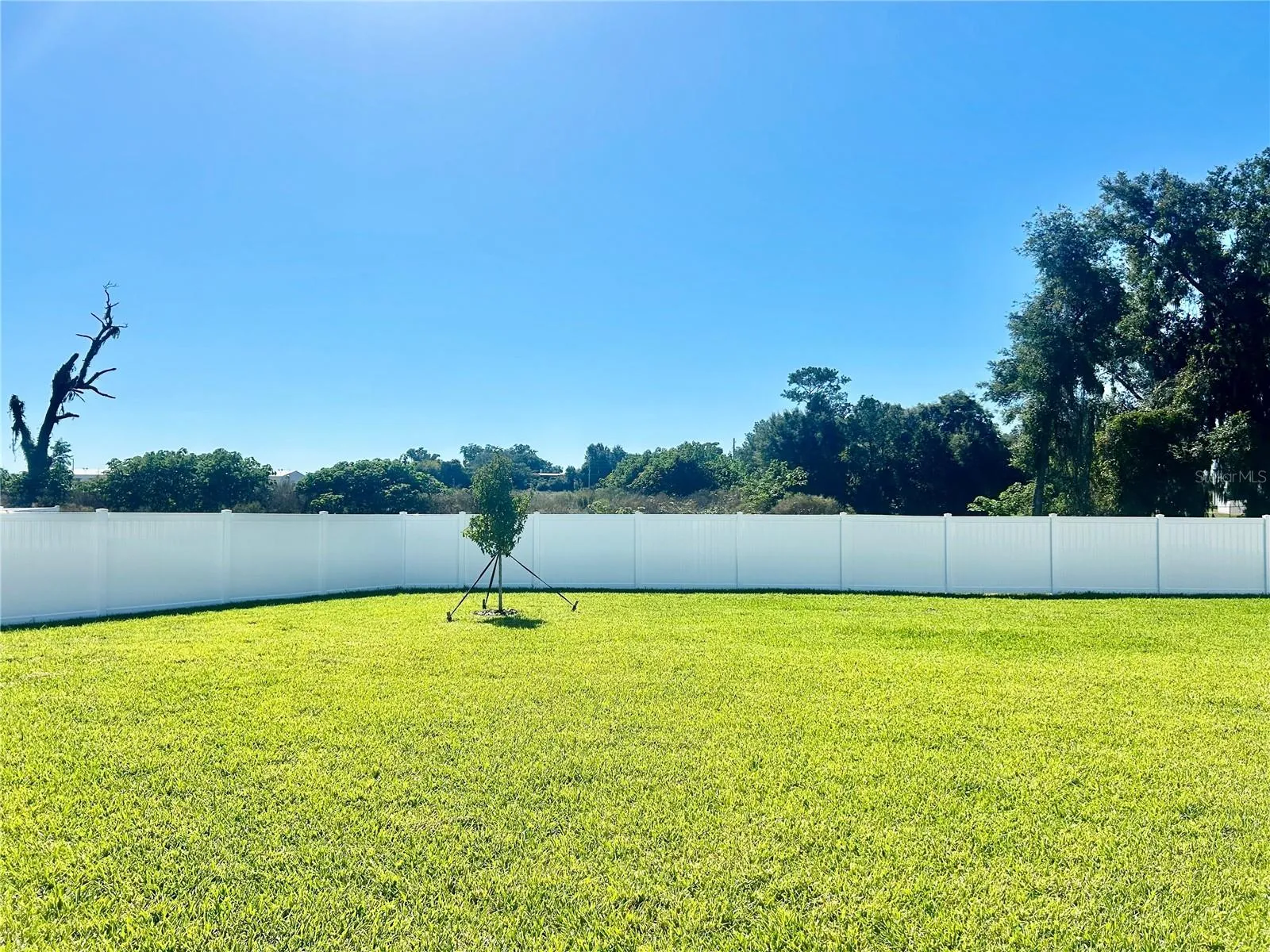 Large Fenced Back Yard