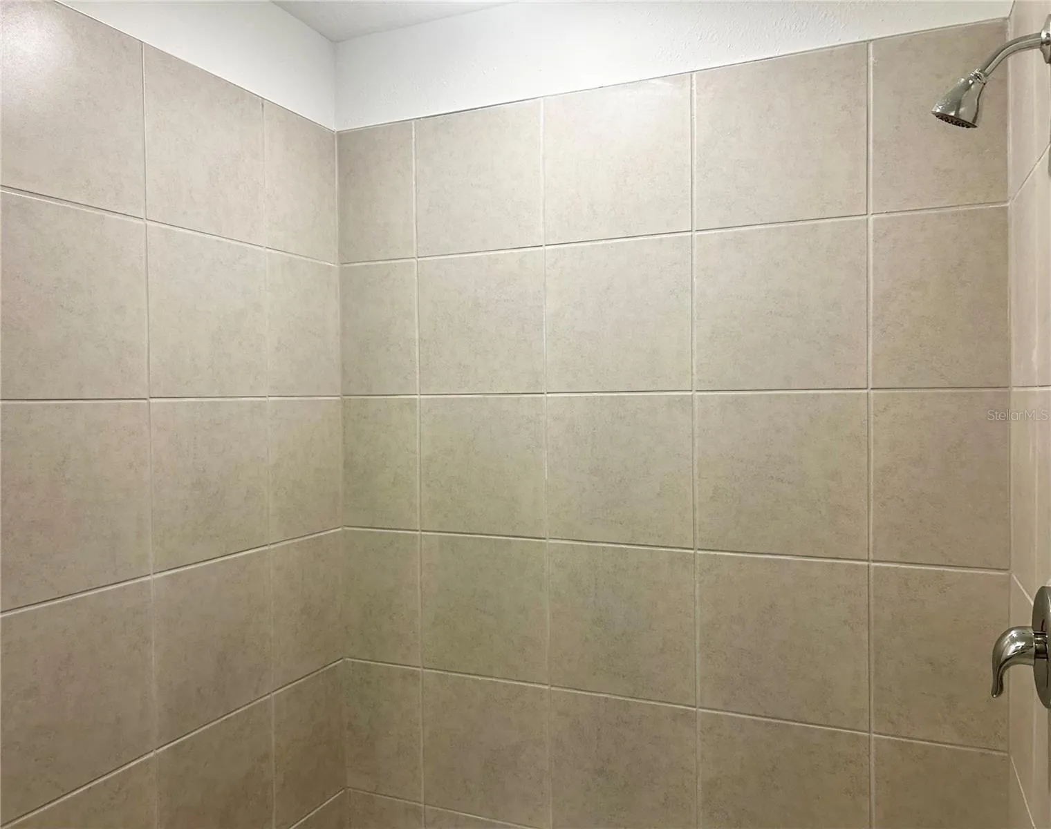 Owner's Walk-in Shower