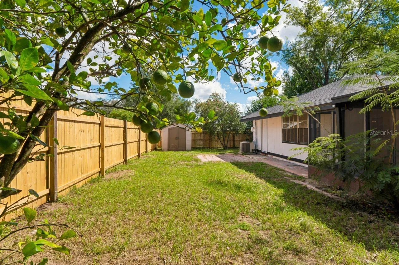 Fenced Yard