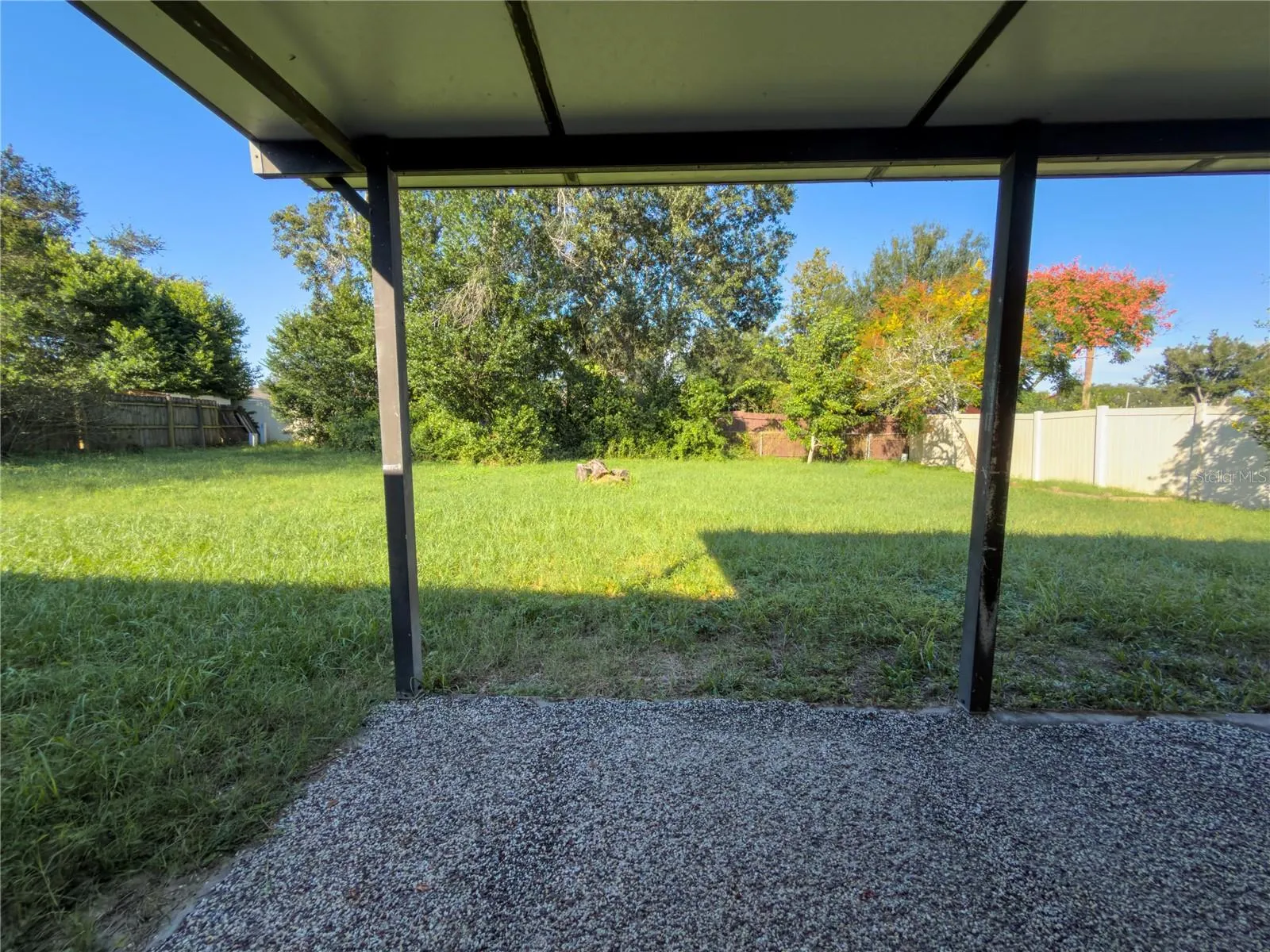 Backyard